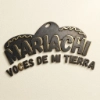 Mariachi en Cuautitlán
